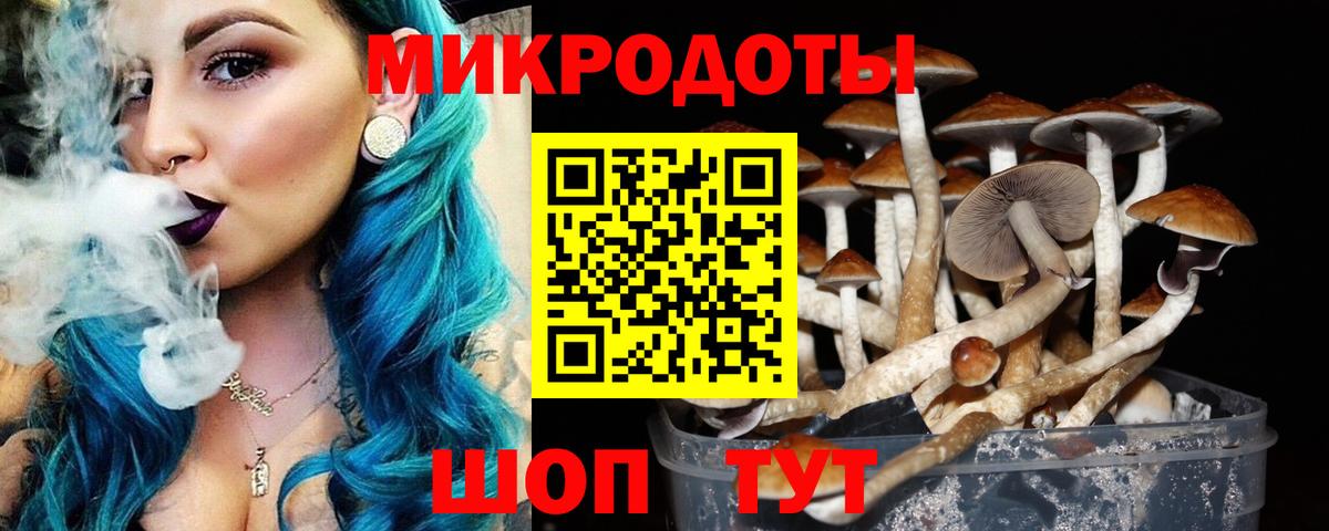Псилоцибиновые грибы мухоморы Гулькевичи