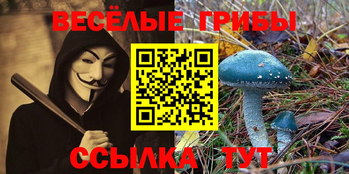Гулькевичи  Псилоцибиновые грибы Magic Shrooms  Вход с VPN 
